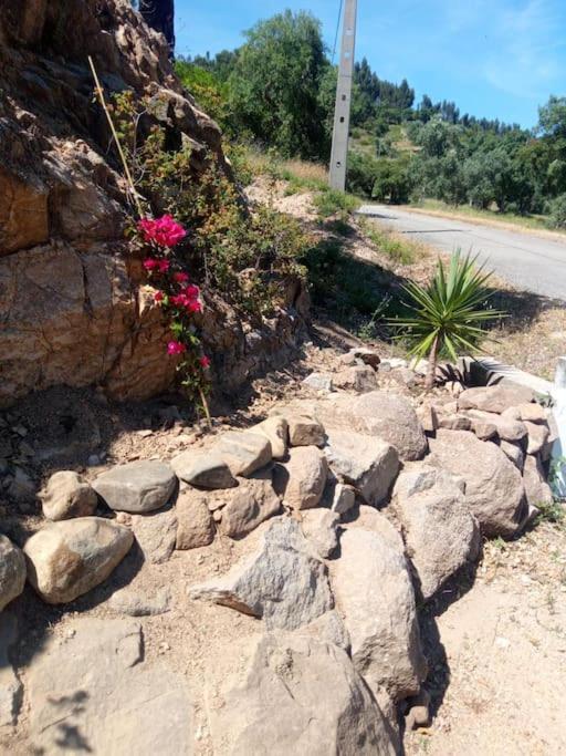 Casa De Celebrar A Vida Villa Monchique Eksteriør billede